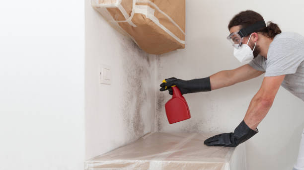 Professional Crawl Space Mold Removal technician working in Auburn, NY