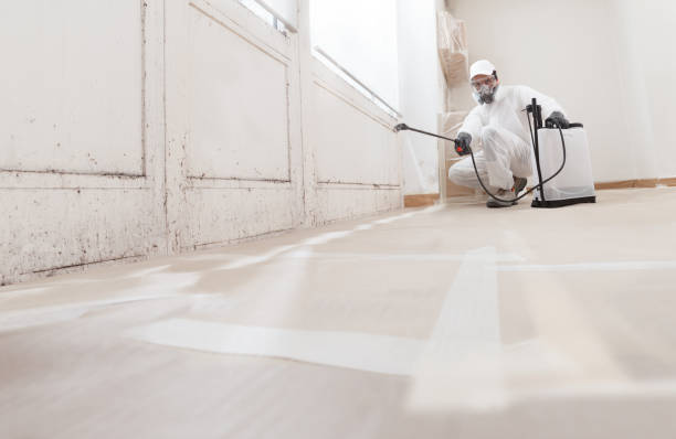 24/7 Emergency Crawl Space Mold Removal experts in Auburn, NY